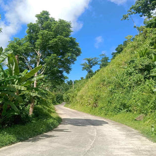  Bato-Aroyoan Road