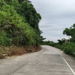  Mamangal-Palawig Road