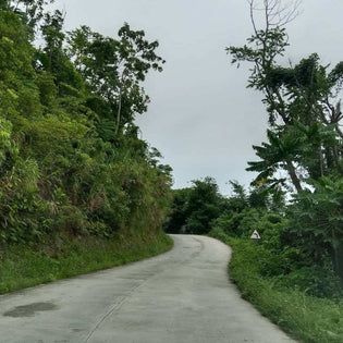  Pajo - Daguindingan Road